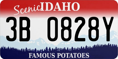 ID license plate 3B0828Y