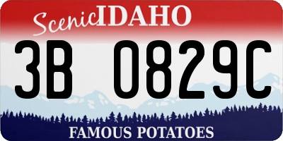 ID license plate 3B0829C