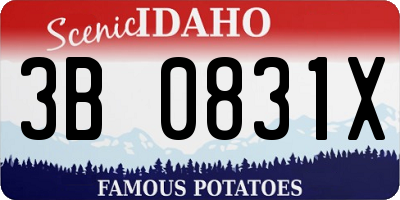 ID license plate 3B0831X