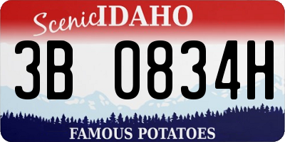 ID license plate 3B0834H
