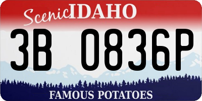 ID license plate 3B0836P
