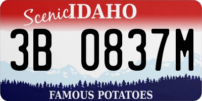 ID license plate 3B0837M