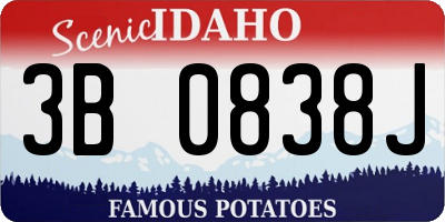 ID license plate 3B0838J