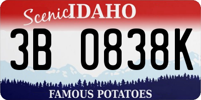 ID license plate 3B0838K