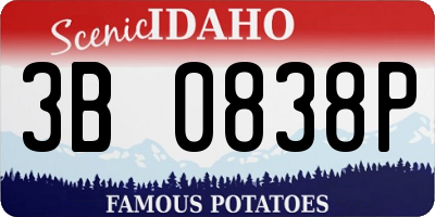 ID license plate 3B0838P