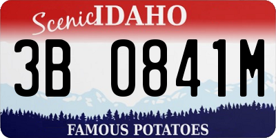ID license plate 3B0841M