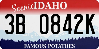 ID license plate 3B0842K