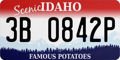 ID license plate 3B0842P