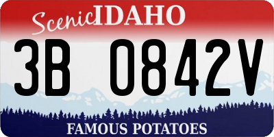 ID license plate 3B0842V
