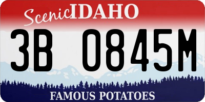 ID license plate 3B0845M