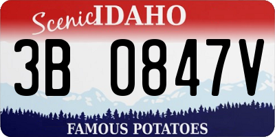 ID license plate 3B0847V