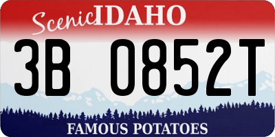 ID license plate 3B0852T
