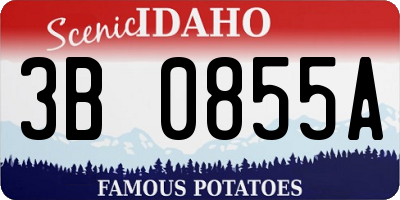 ID license plate 3B0855A