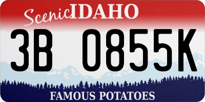 ID license plate 3B0855K