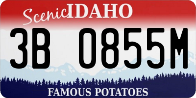 ID license plate 3B0855M