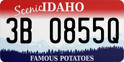 ID license plate 3B0855Q