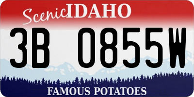 ID license plate 3B0855W