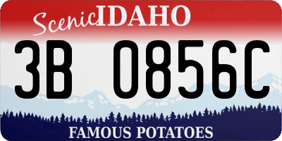 ID license plate 3B0856C