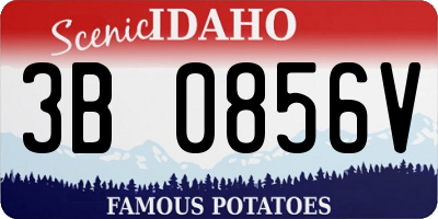 ID license plate 3B0856V