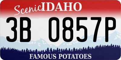ID license plate 3B0857P
