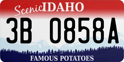 ID license plate 3B0858A