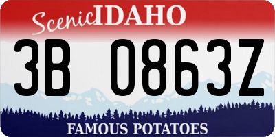 ID license plate 3B0863Z