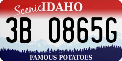 ID license plate 3B0865G