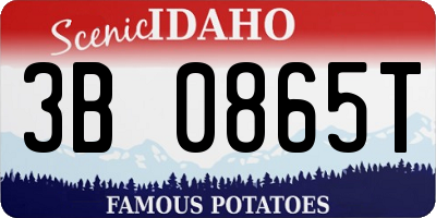 ID license plate 3B0865T
