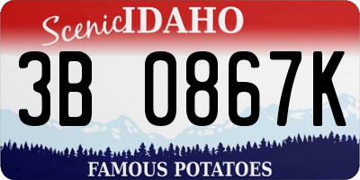 ID license plate 3B0867K