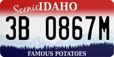 ID license plate 3B0867M