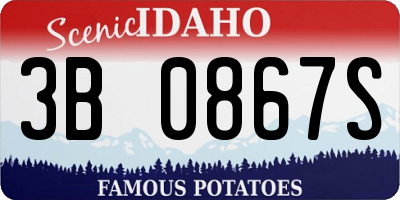 ID license plate 3B0867S