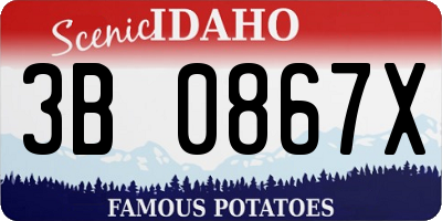 ID license plate 3B0867X