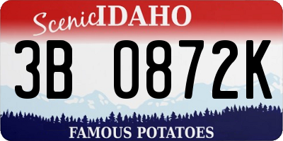 ID license plate 3B0872K