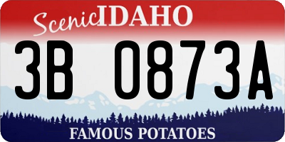 ID license plate 3B0873A