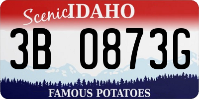 ID license plate 3B0873G