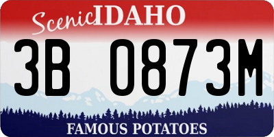 ID license plate 3B0873M
