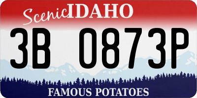 ID license plate 3B0873P