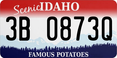 ID license plate 3B0873Q