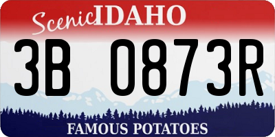 ID license plate 3B0873R
