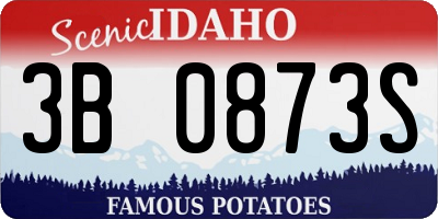 ID license plate 3B0873S