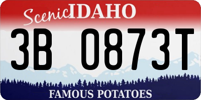 ID license plate 3B0873T