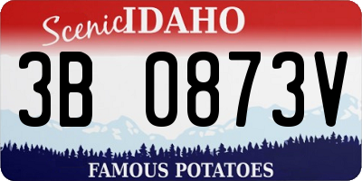ID license plate 3B0873V