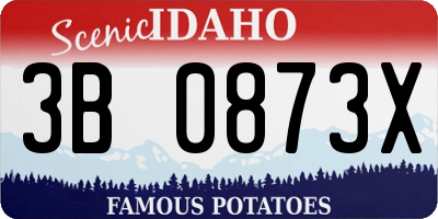 ID license plate 3B0873X