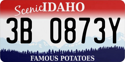 ID license plate 3B0873Y