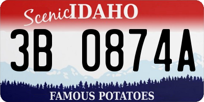 ID license plate 3B0874A