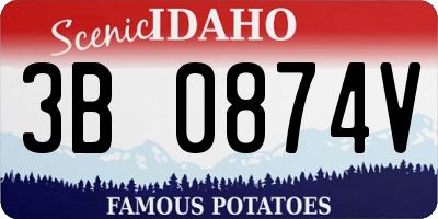 ID license plate 3B0874V