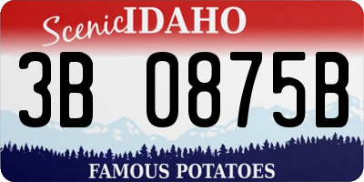 ID license plate 3B0875B