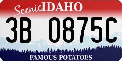 ID license plate 3B0875C