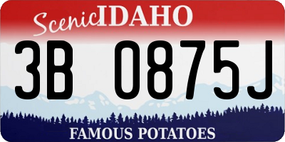 ID license plate 3B0875J