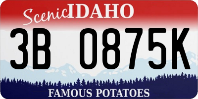ID license plate 3B0875K